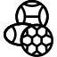 PE & Sport Sciences